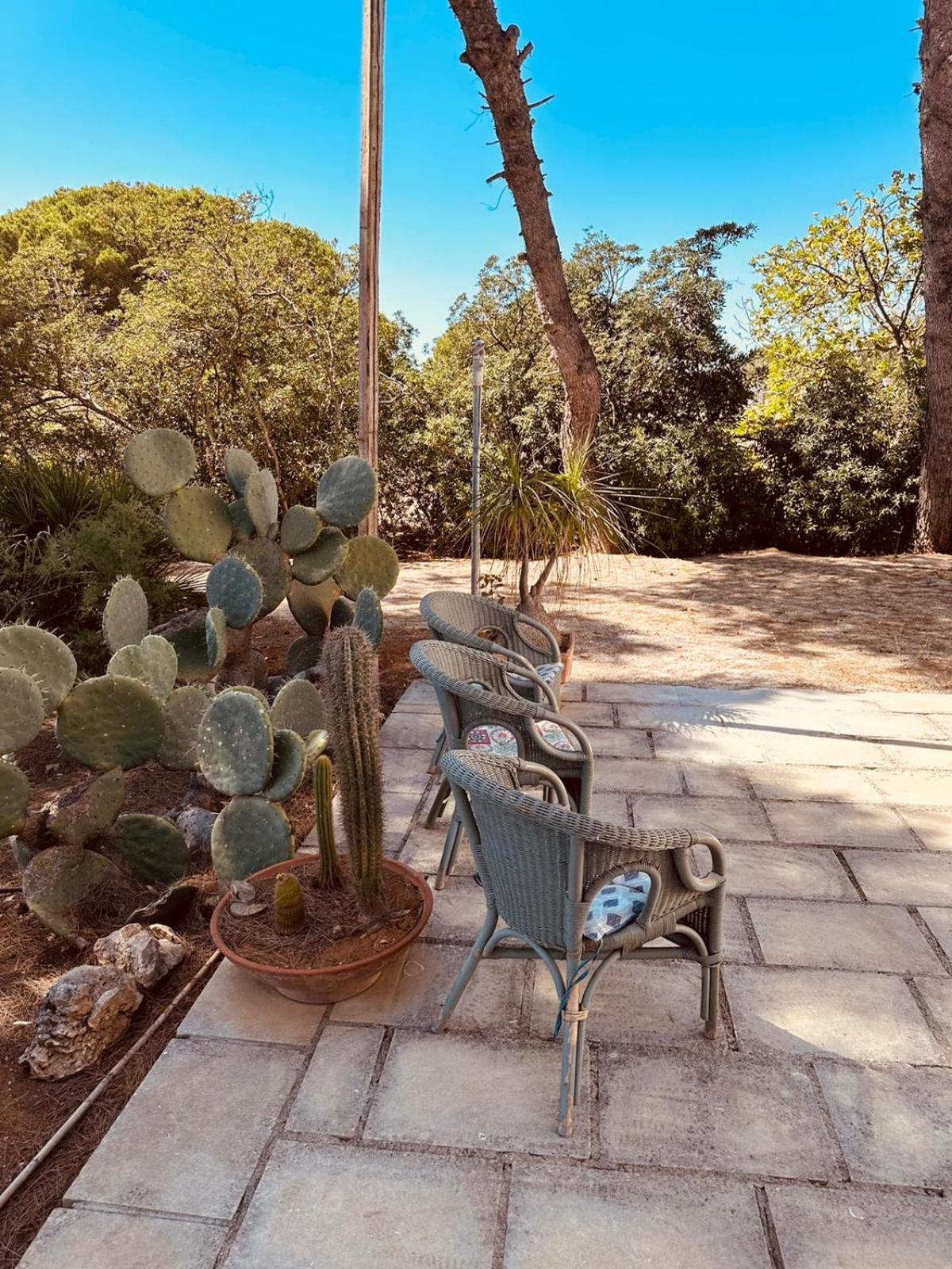 Casa Vacanze Capurre "Trulli E Pajare A Due Passi Dal Pizzo" Gallipolli Exteriör bild